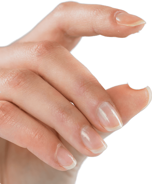 Dipartimento Europeo della Salute